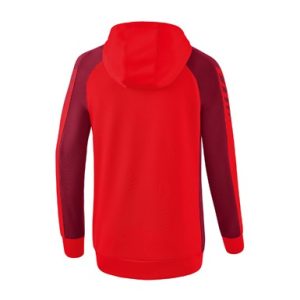 Alternative view of Six Wings Training Jacket with hood