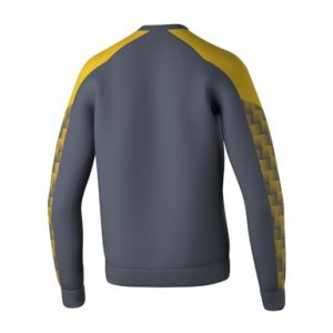 Alternative view of EVO STAR Sweatshirt