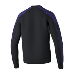 Alternative view of EVO STAR Sweatshirt