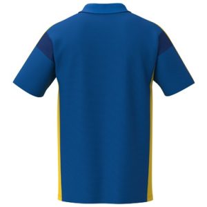 Alternative view of CELEBRATE 125 Poloshirt function