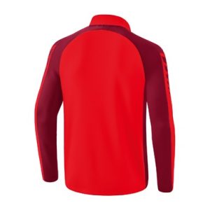 Alternative view of Six Wings Training Top
