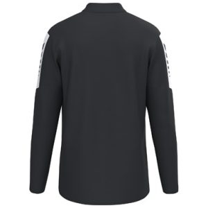 Alternative view of INTRO Training top