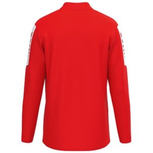Alternative view of INTRO Training top