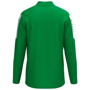 Alternative view of INTRO Training top