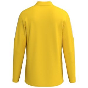 Alternative view of INTRO Training top