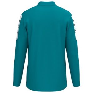 Alternative view of INTRO Training top