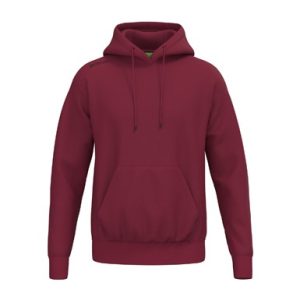 TS Hoody