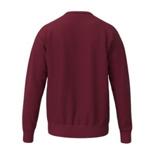 Alternative view of TS Sweatshirt