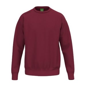 TS Sweatshirt