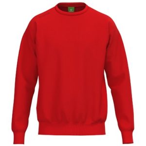 TS Sweatshirt