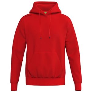 TS Hoody
