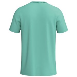 Alternative view of INTRO Shirt function