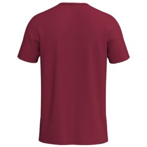 Alternative view of INTRO Shirt function