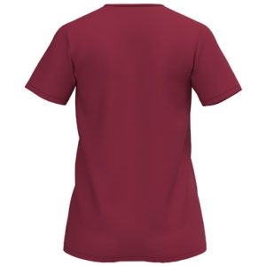 Alternative view of INTRO Shirt function