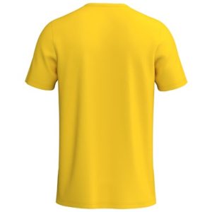 Alternative view of INTRO Shirt function