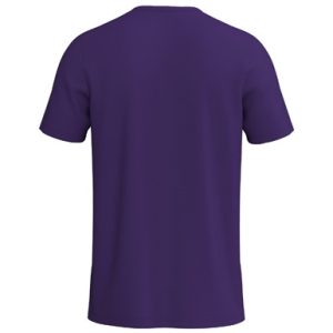 Alternative view of INTRO Shirt function