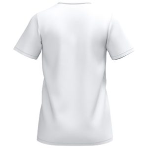 Alternative view of INTRO Shirt function