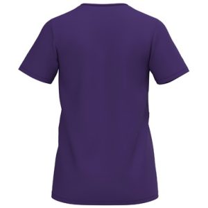 Alternative view of INTRO Shirt function