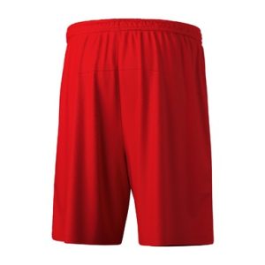 Alternative view of TEAM Shorts