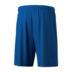 Alternative view of TEAM Shorts