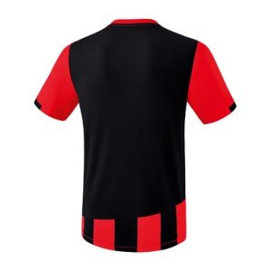 Alternative view of SIENA 3.0 Jersey