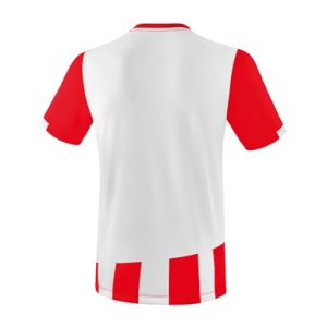 Alternative view of SIENA 3.0 Jersey