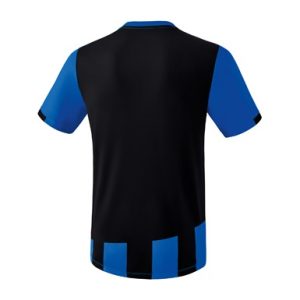 Alternative view of SIENA 3.0 Jersey