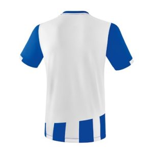 Alternative view of SIENA 3.0 Jersey