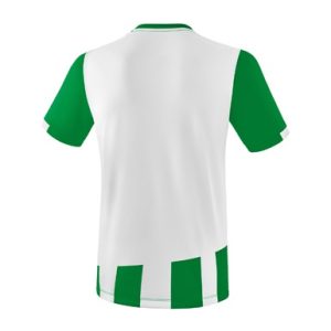 Alternative view of SIENA 3.0 Jersey