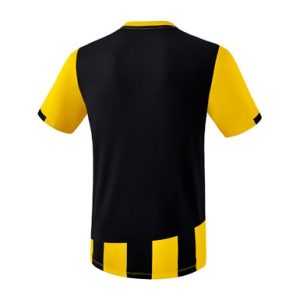 Alternative view of SIENA 3.0 Jersey