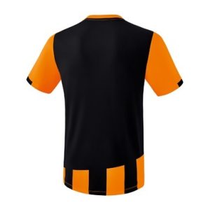 Alternative view of SIENA 3.0 Jersey