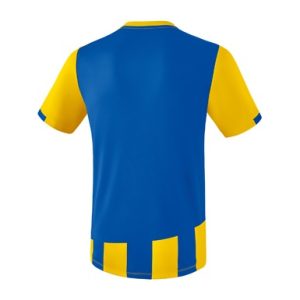 Alternative view of SIENA 3.0 Jersey