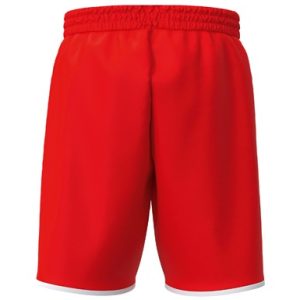 Alternative view of WINGS Shorts without inner slip