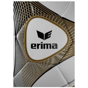 Alternative view of ERIMA Hybrid Training