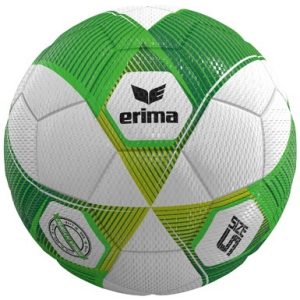 ERIMA HYBRID Lite 290