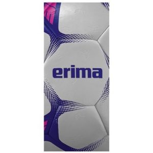Alternative view of ERIMA FLASH Training